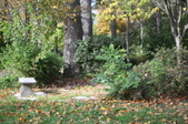 Enlarge photo 83