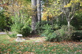 Enlarge photo 84