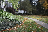 Enlarge photo 85