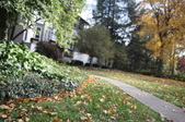 Enlarge photo 86