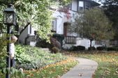 Enlarge photo 87