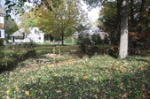 Enlarge photo 91