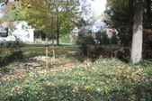 Enlarge photo 92