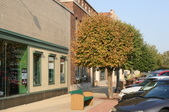 Enlarge photo 20