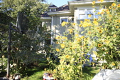 Enlarge photo 197