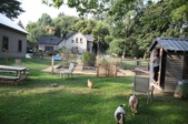 Enlarge photo 5