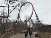 Enlarge photo 11