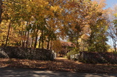 Enlarge photo 36