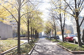 Enlarge photo 30