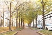 Enlarge photo 33