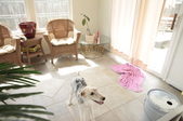Enlarge photo 34