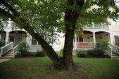 Enlarge photo 12
