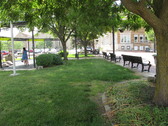 Enlarge photo 10