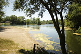 Enlarge photo 20