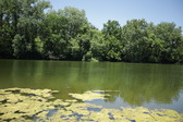 Enlarge photo 32