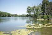 Enlarge photo 33