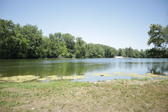 Enlarge photo 34