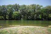 Enlarge photo 35