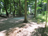 Enlarge photo 5