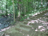 Enlarge photo 15