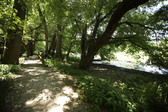Enlarge photo 25