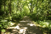 Enlarge photo 26