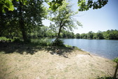 Enlarge photo 36