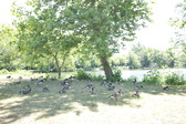 Enlarge photo 37