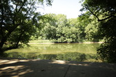 Enlarge photo 25