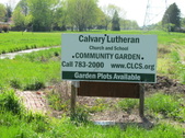 Calvary Lutheran