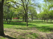 Garfield Park
