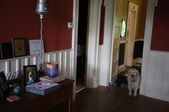 Enlarge photo 12