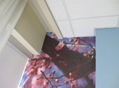 Enlarge photo 31
