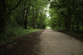 Enlarge photo 26