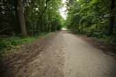 Enlarge photo 28