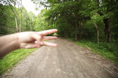 Enlarge photo 30