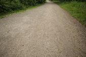 Enlarge photo 35