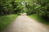 Enlarge photo 37