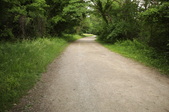 Enlarge photo 39