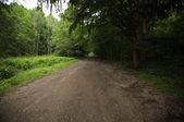 Enlarge photo 41