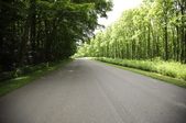 Enlarge photo 31