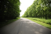Enlarge photo 33