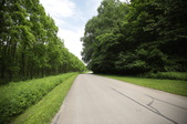 Enlarge photo 39