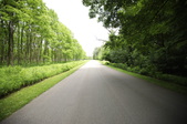 Enlarge photo 40