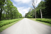Enlarge photo 41