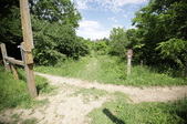 Enlarge photo 49