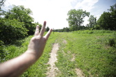 Enlarge photo 50