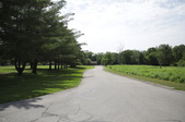 Enlarge photo 54