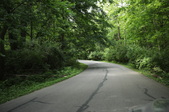 Enlarge photo 57