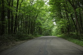 Enlarge photo 58